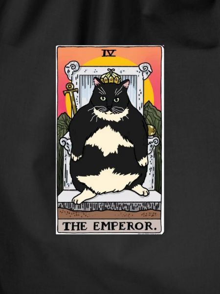 Fat Cat Obesity