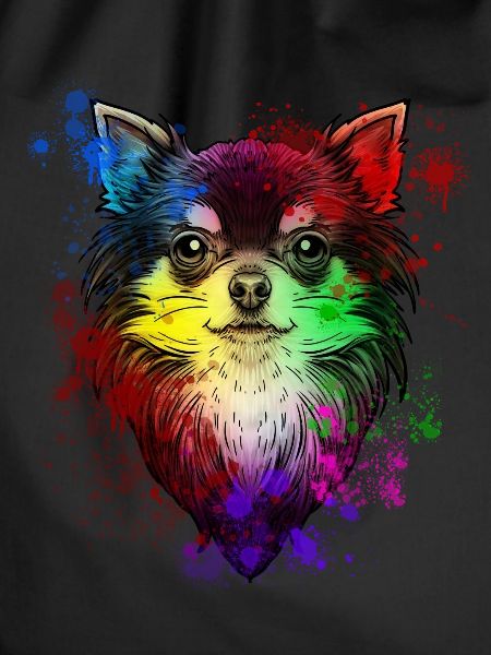 Chihuahua dog portrait