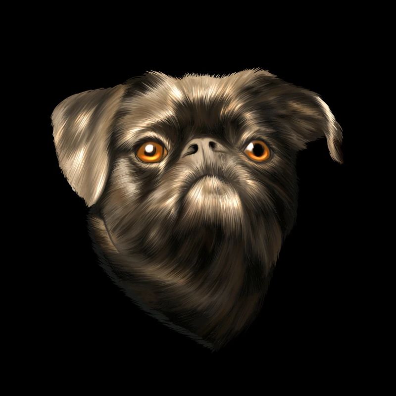Brabant dwarf griffon