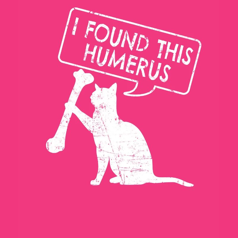 Drôle d’anatomie Chat Humérus
