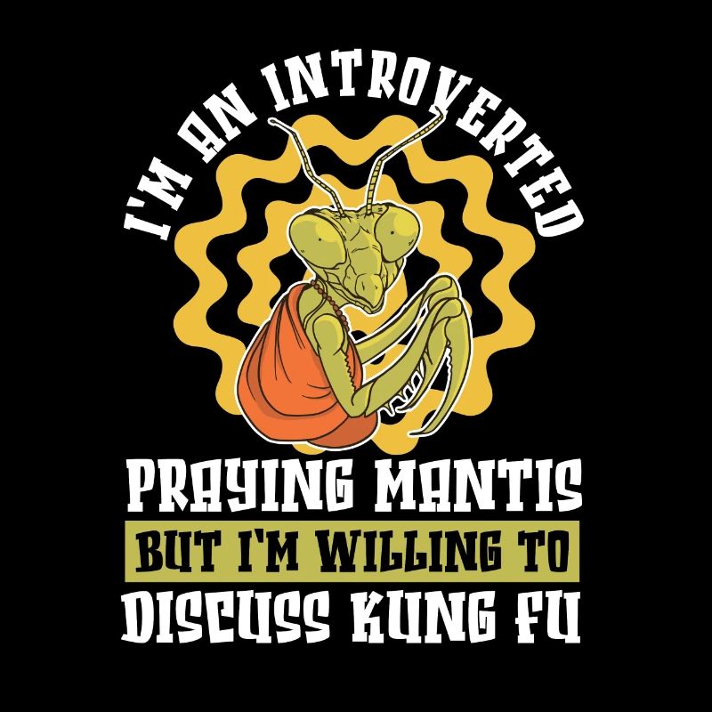 Kung-fu