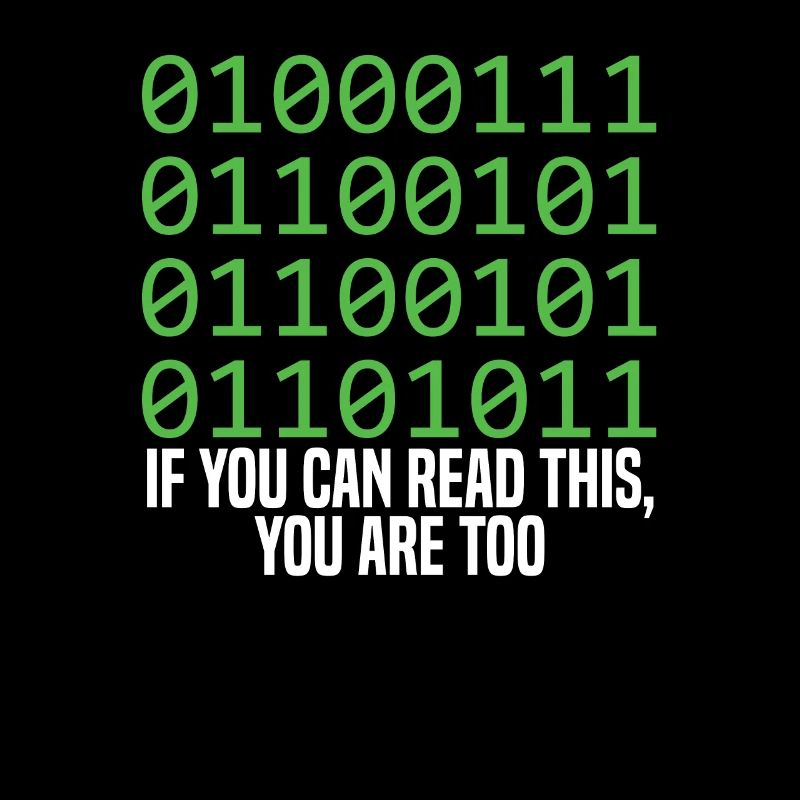 Programmer Coder Software Developer