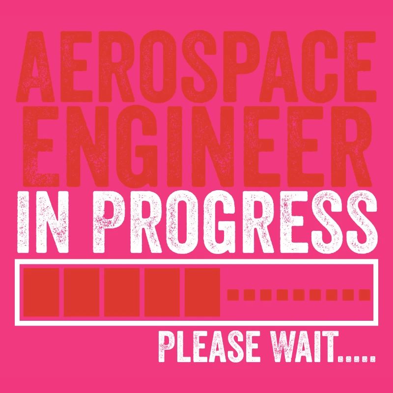 Aerospace Engineer in Progress Astronautical
