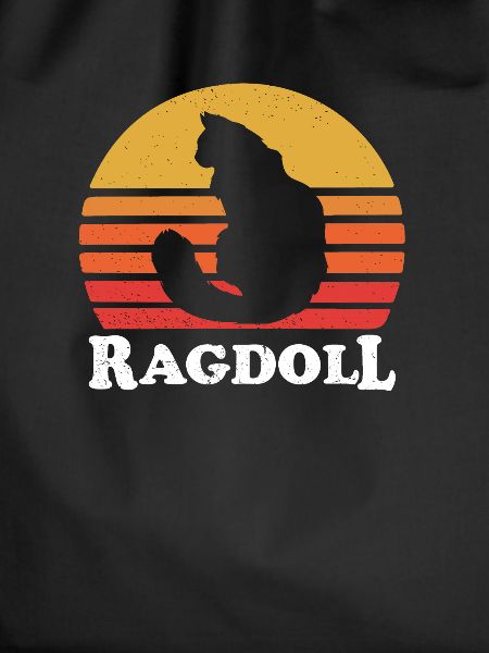 ragdoll cat