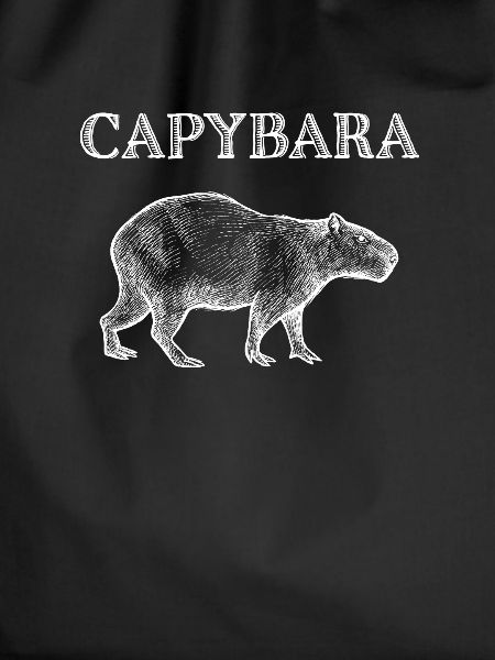 Capybara