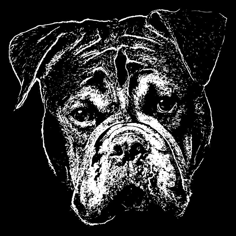 Continental Bulldog Head White-BOBBY