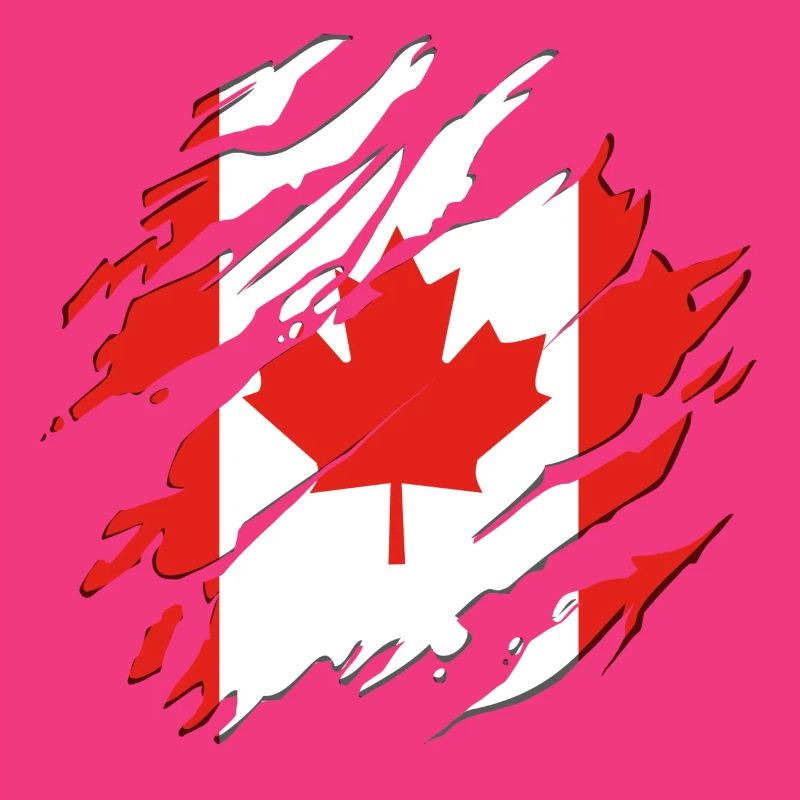 Canada flag maple maple leaf maple leaf cracks