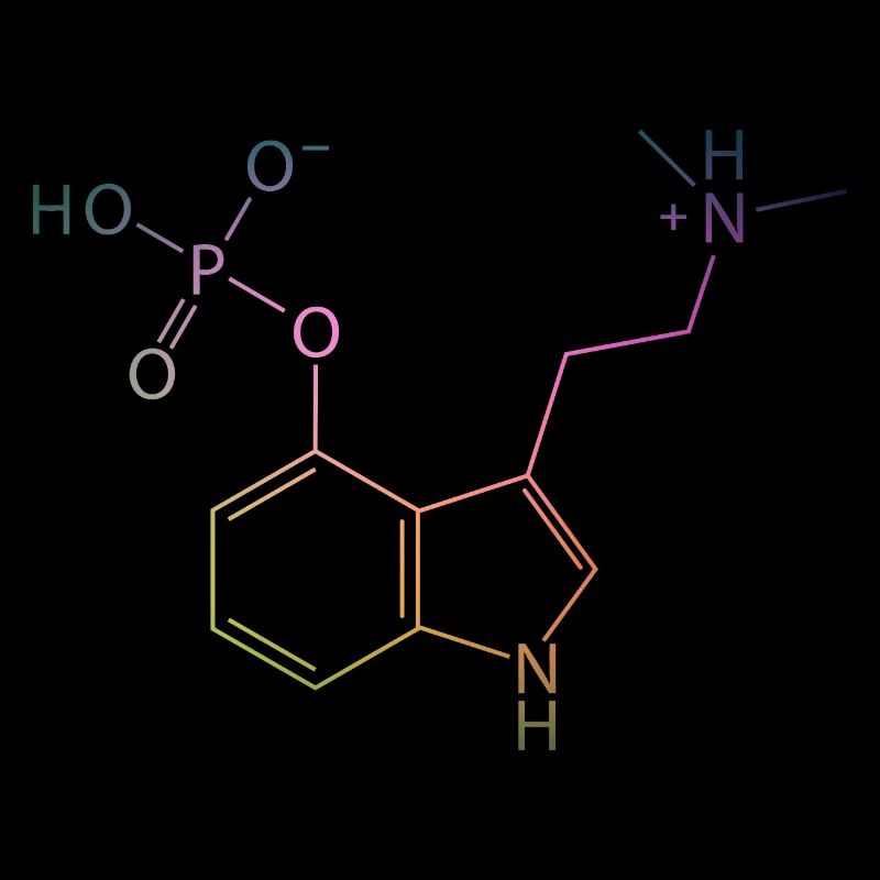 Molécule de psilocybine Chimie Champignons magiques Champignons Psy
