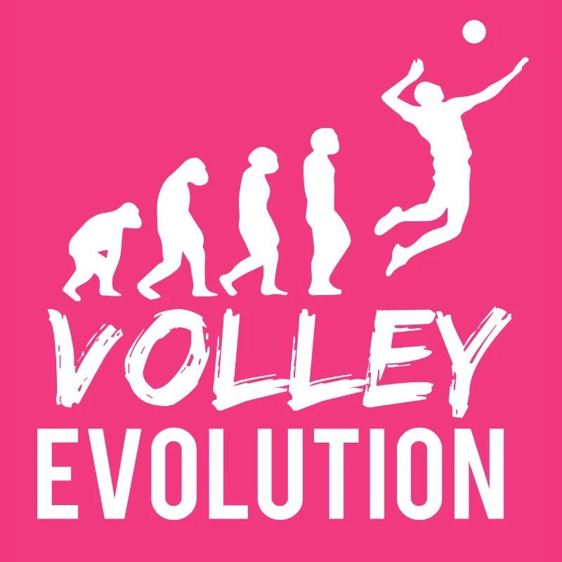 VOLLEY EVOLUTION