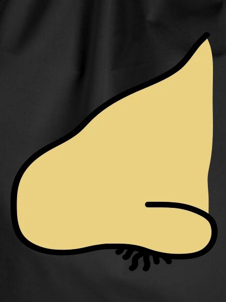 nose