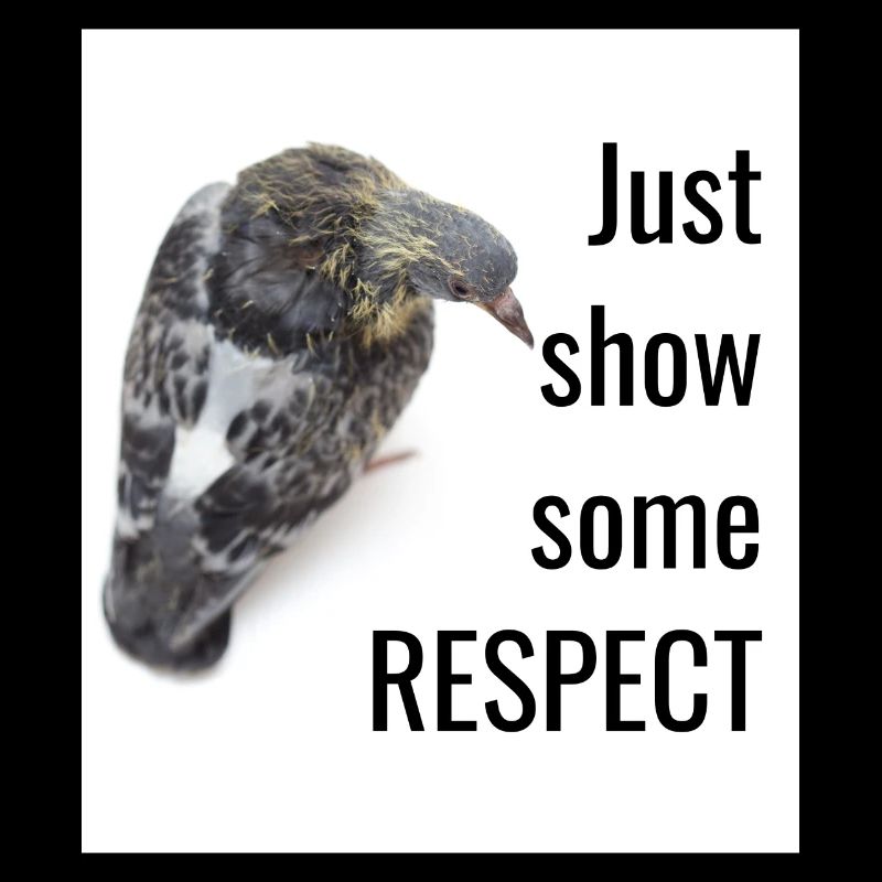 Show some RESPECT