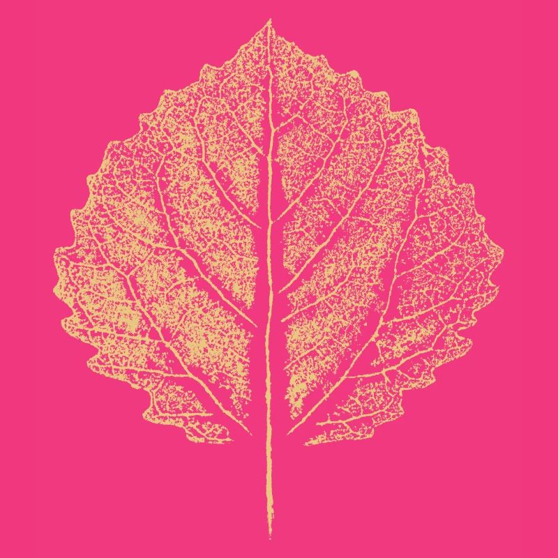 Birch Leaf - Birch Leaf - Nature & Botany