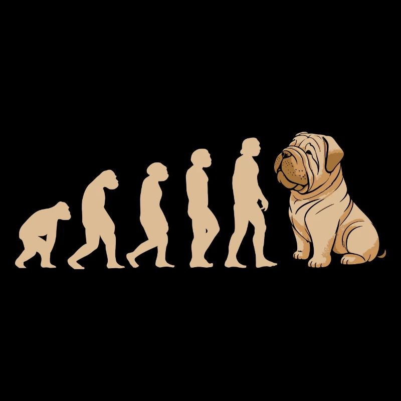 Evolution Shar Pei
