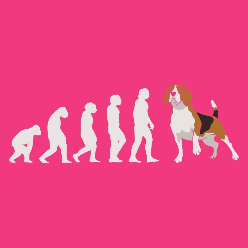 Evolution Beagle