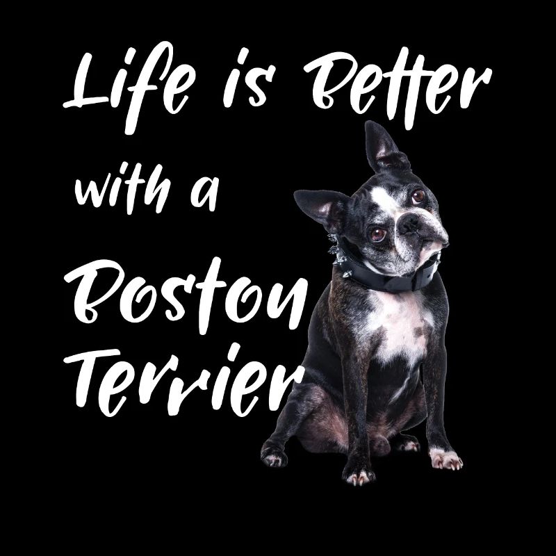 Das Leben ist besser mit einem Boston Terrier