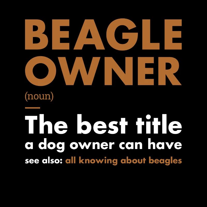 Définition du propriétaire du Beagle