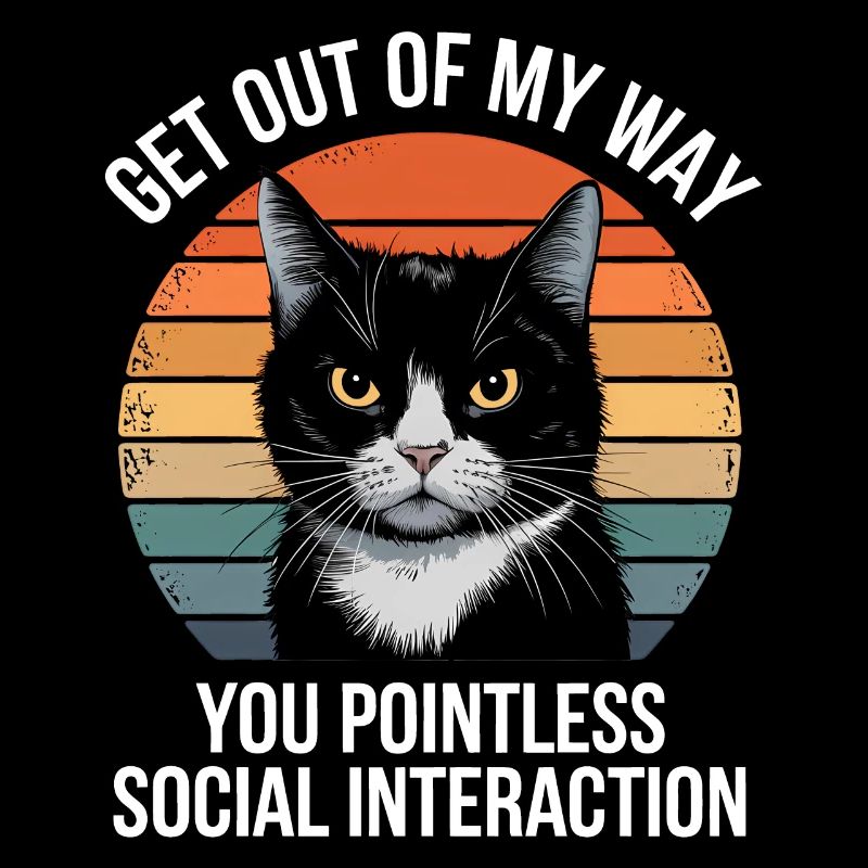 Funny Black Cat