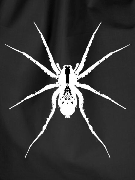 White wolf spider