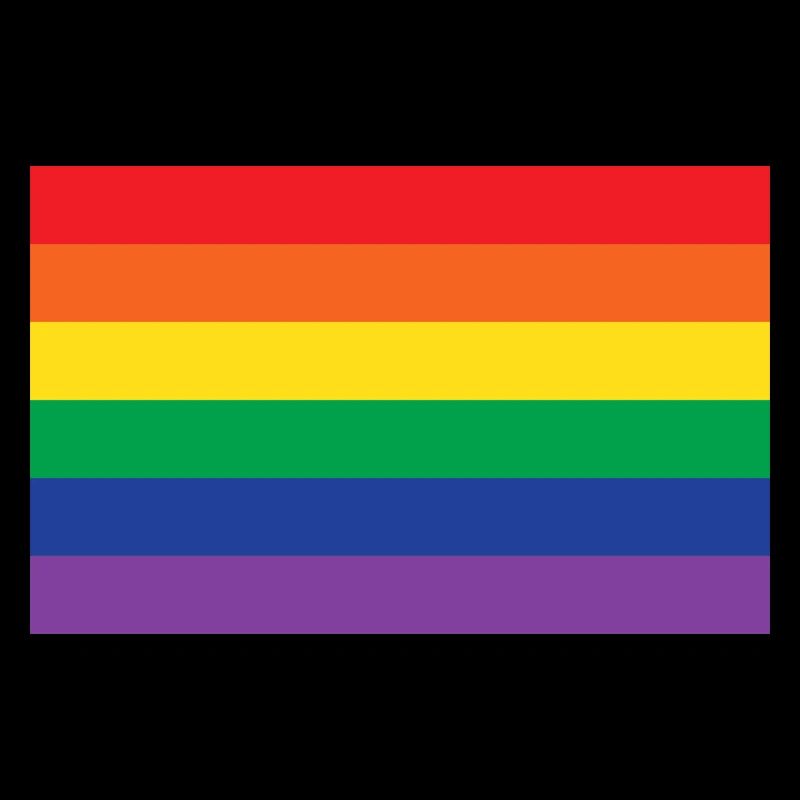 Variantes du drapeau de la fierté