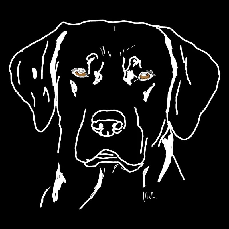 Labrador