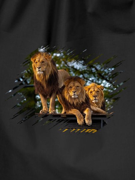 lions