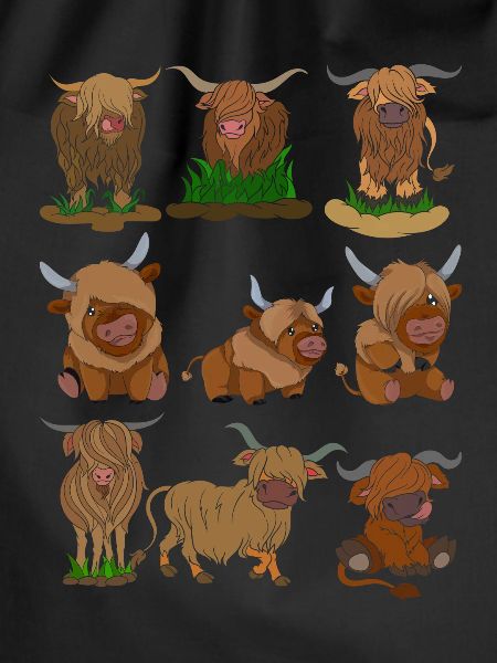 Scottish Highland Cattle