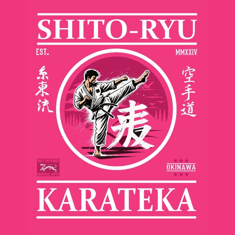 Shito-Ryu Karateka – Master of Precision