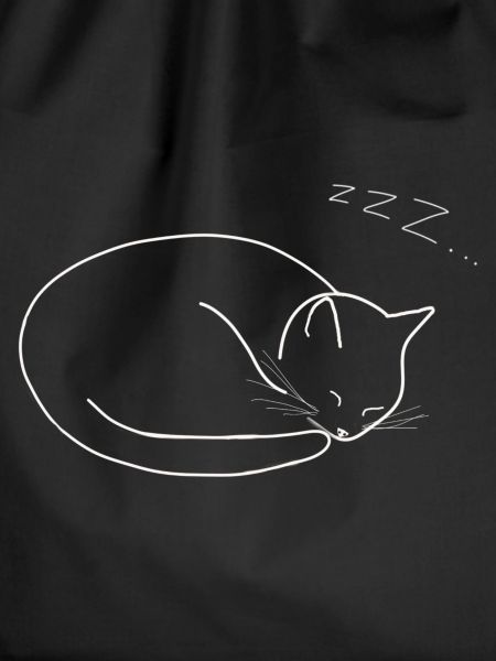 Sleeping cat