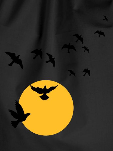 Birds in the sunset