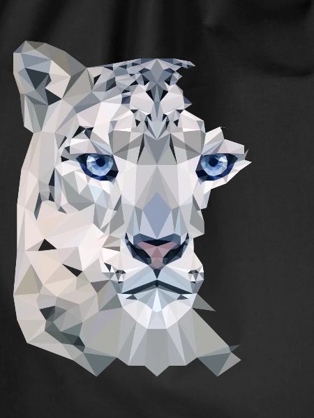Snow Leopard Split