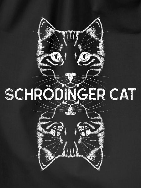 Quantentheorie Schrödingers Katze