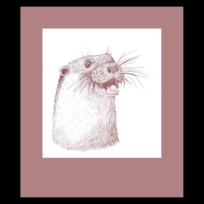 230816 Otter 2