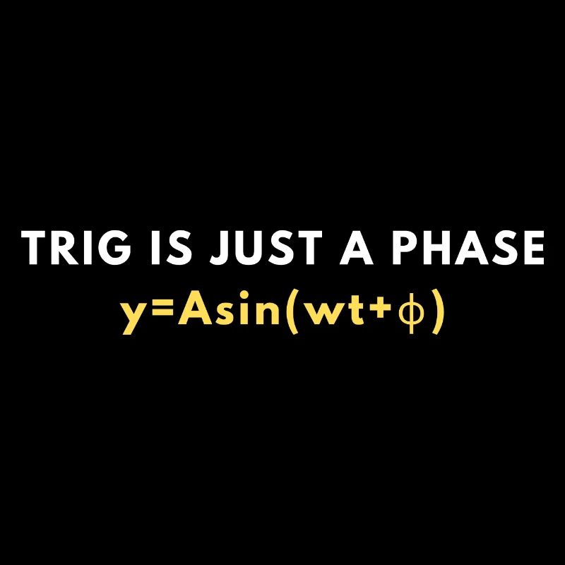 Funny Trigonometry Quote | Math Lovers Gifts