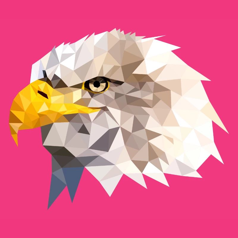 Bald Eagle Sea Eagle American Eagle Eagle