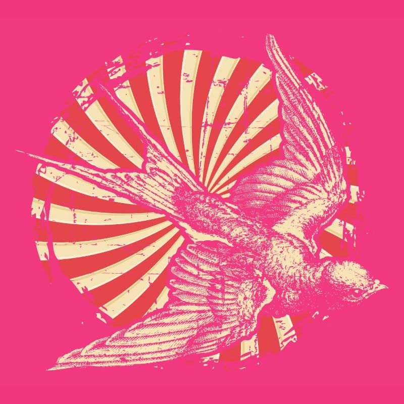 Schwalbe Vogel