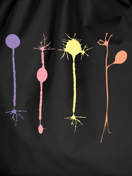Neuron in Harmonie