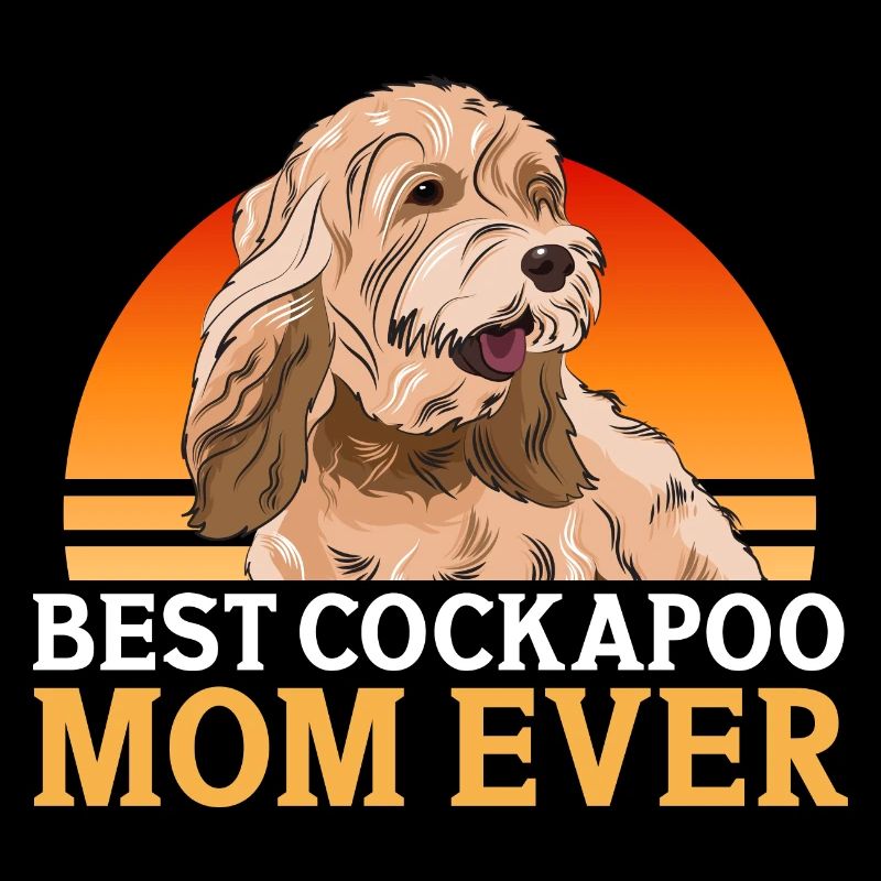 Cockapoo Chien