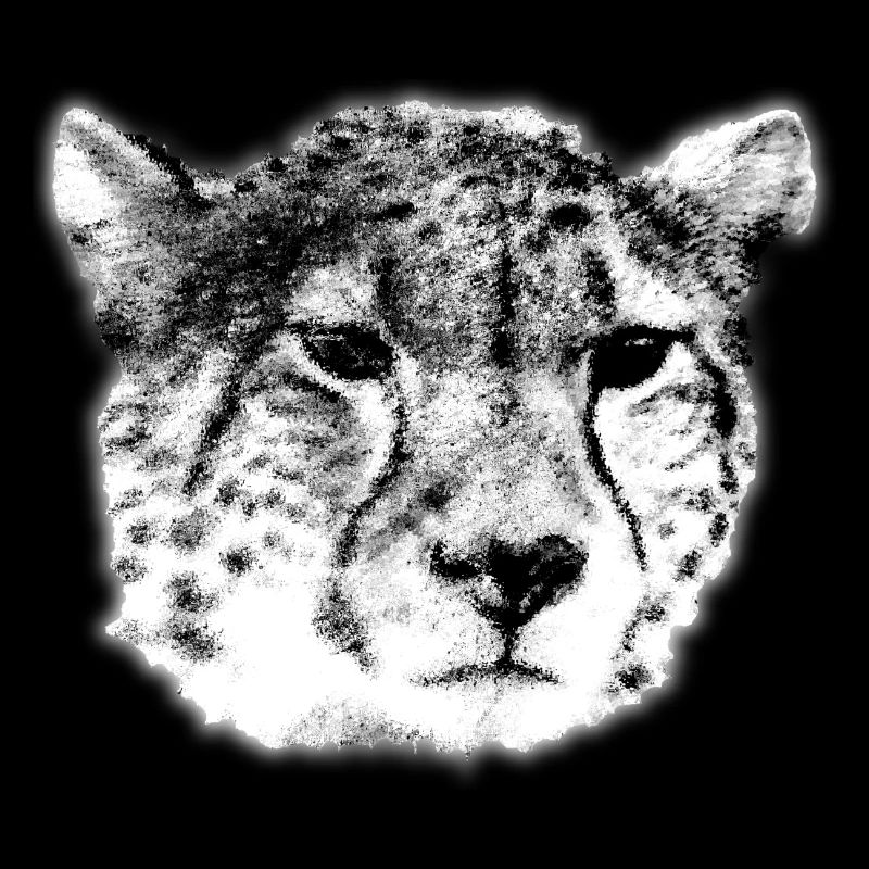 Guépard Portrait