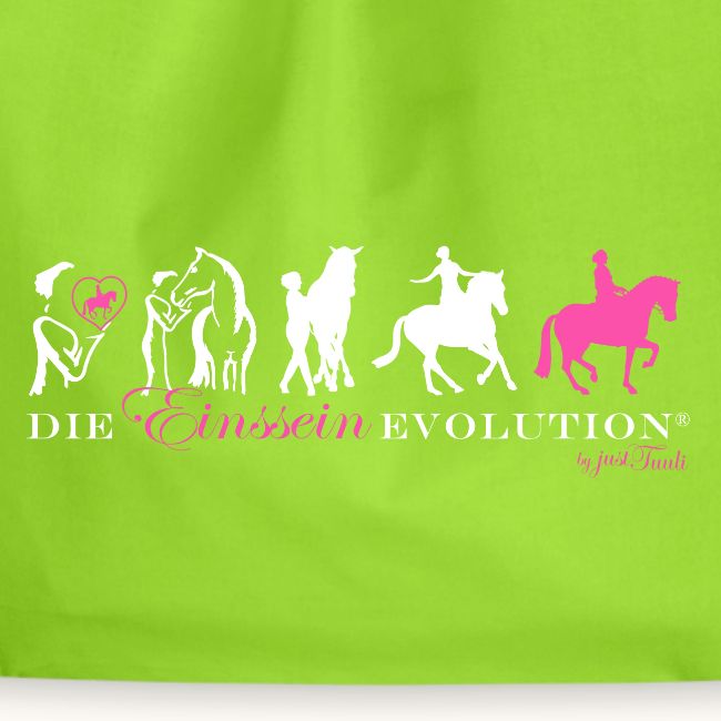 Einssein Evolution wp22