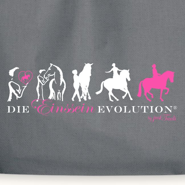 Einssein Evolution wp22