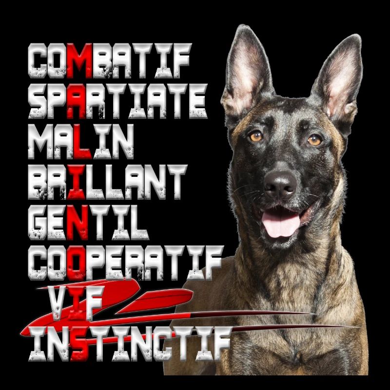 malinois