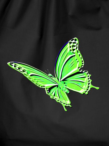 Schmetterling grün