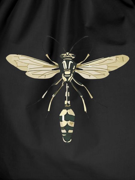 insect