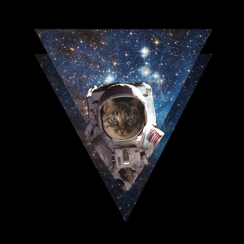 Galaxy Cat Astronaut