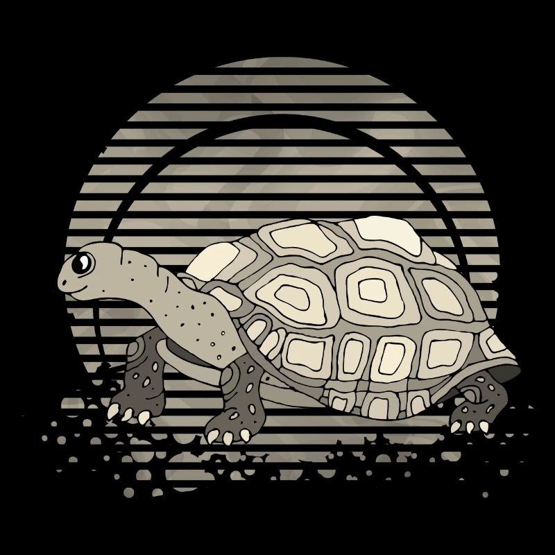 Tortoise