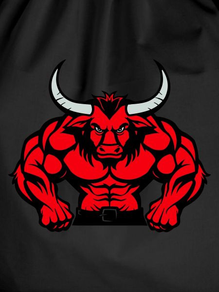 Bull Animal