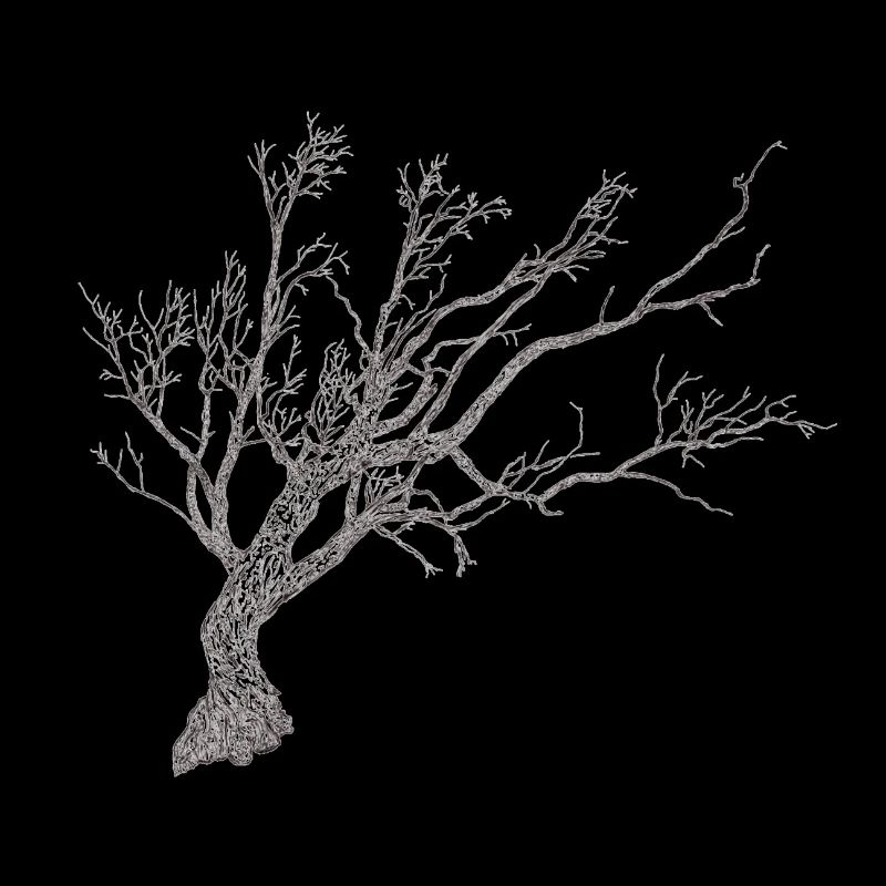 arbre