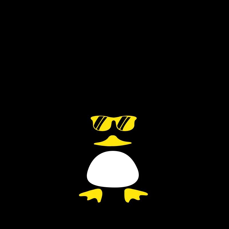 Canard de plage
