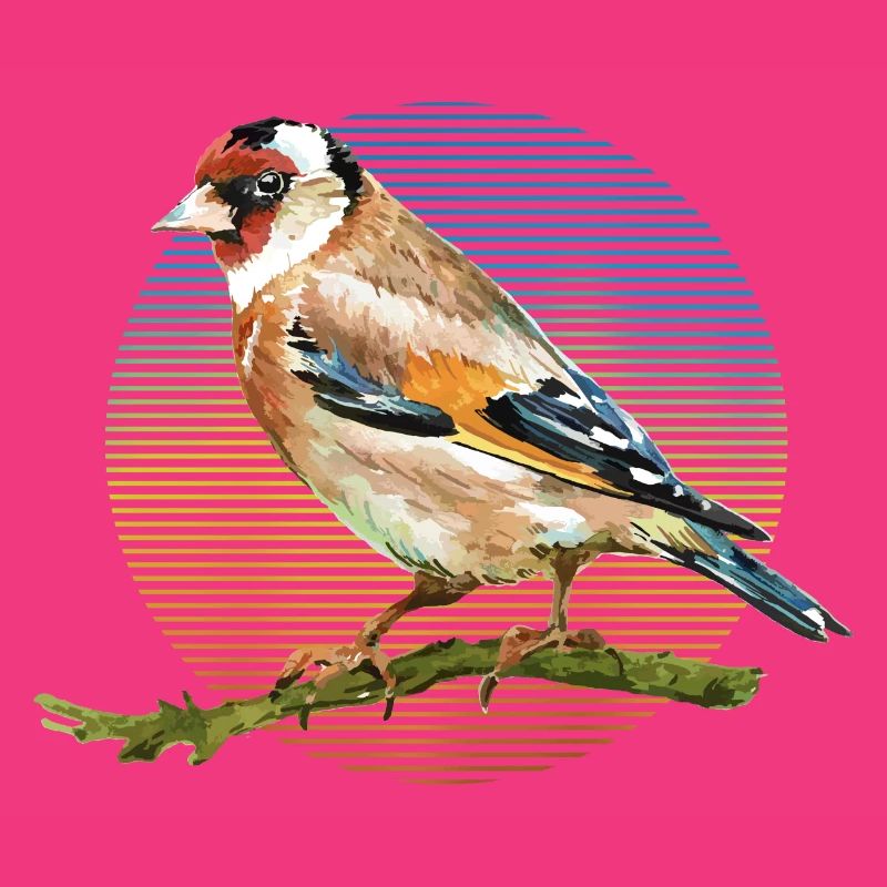 Bunter Vogel