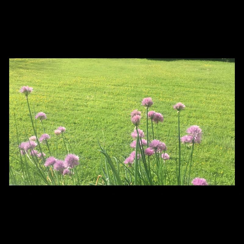 F8377DE8 6BF7 40E6 9C38 EA0AEDBF0DF7